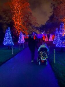 Image of Grace and companion at a Christmas light display, shot from behind